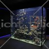 aquarium_2011_1kl